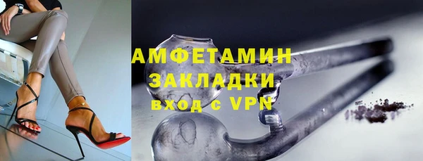 сатива Аркадак