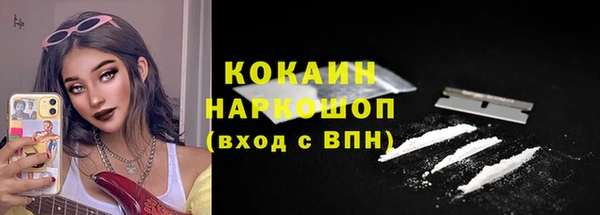 сатива Аркадак