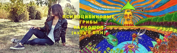 сатива Аркадак